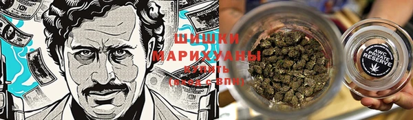 ПСИЛОЦИБИНОВЫЕ ГРИБЫ Зерноград