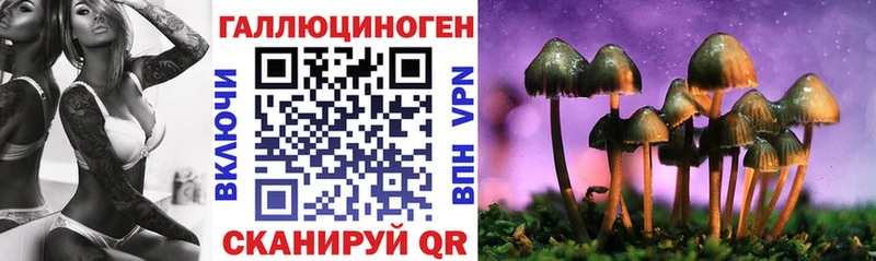 Купить  Волжск  Псилоцибиновые грибы Magic Shrooms 