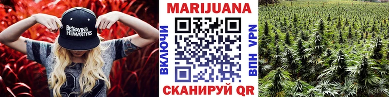 Купить закладки  Волжск  Бошки Шишки тримм 